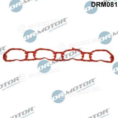 Dr. Motor DRM081
