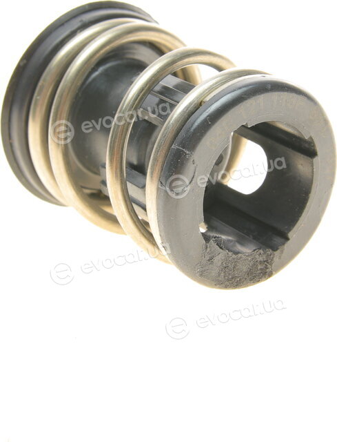 Borsehung B18261