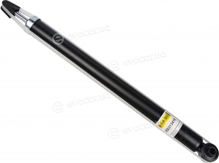 Raiso RS313419