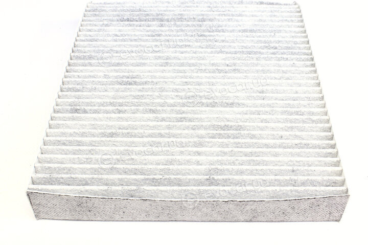 Solgy 104037