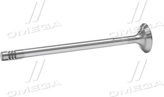 Gunes 4027