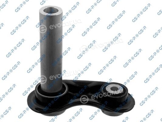 GSP S060068