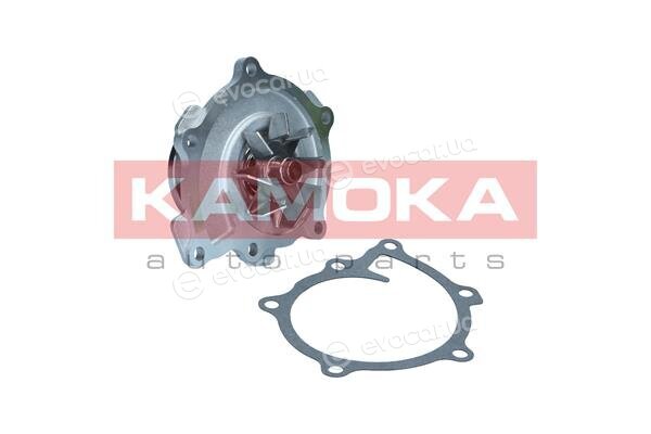 Kamoka T0294