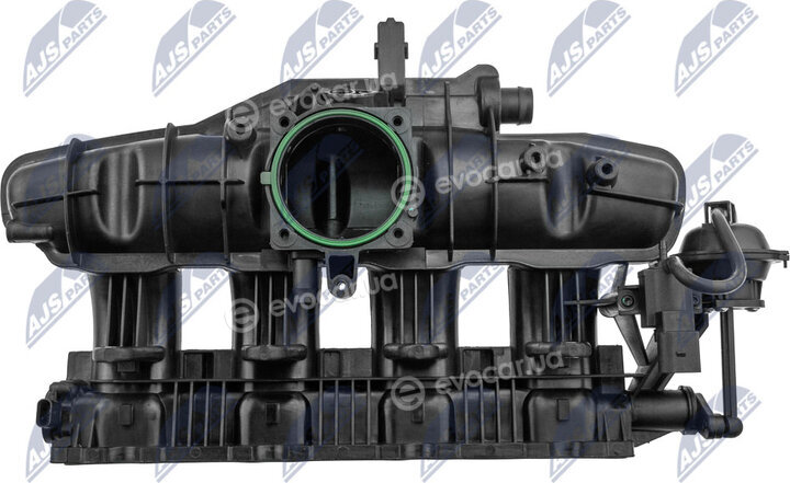 NTY BKS-VW-018