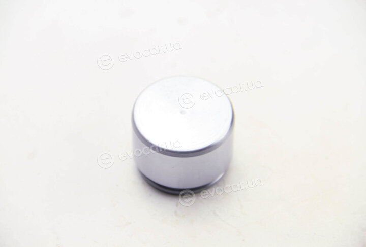 Autofren D025579