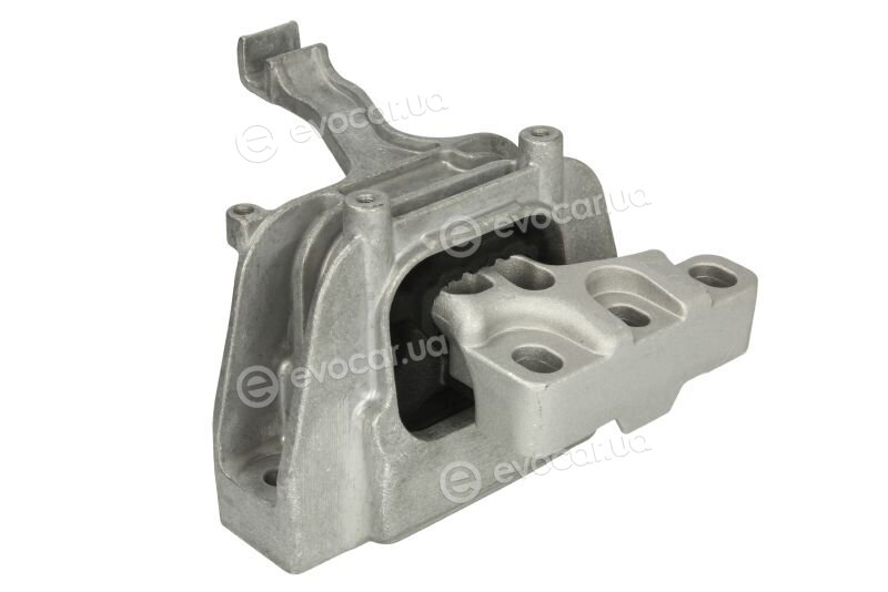 Tedgum TED51460