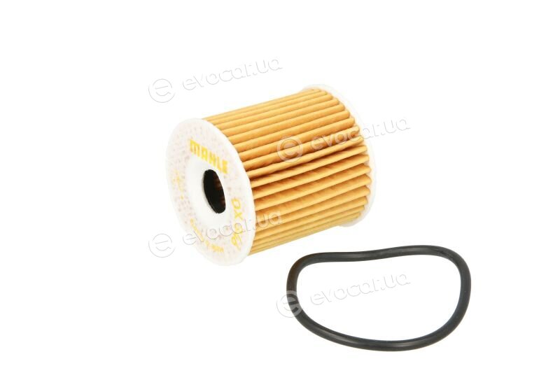 Mahle OX 346D