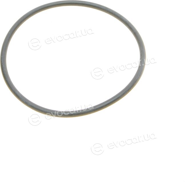 Borsehung B10522