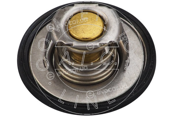 AIC 58101