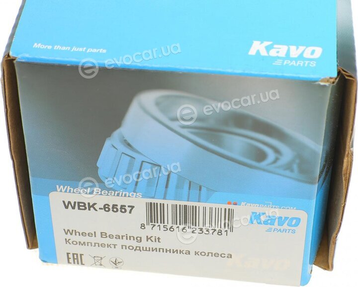 Kavo WBK-6557