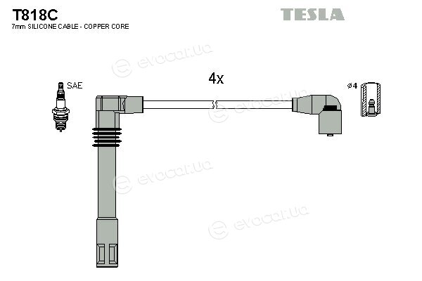 Tesla T818C