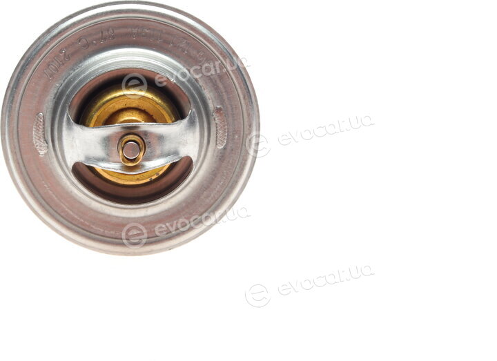 Borsehung B18259