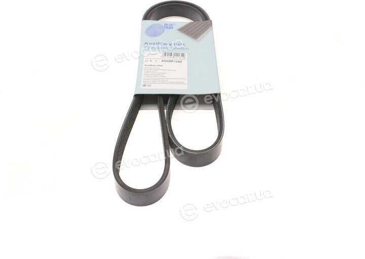 Blue Print AD05R1205