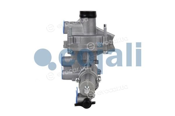 Cojali 2220604