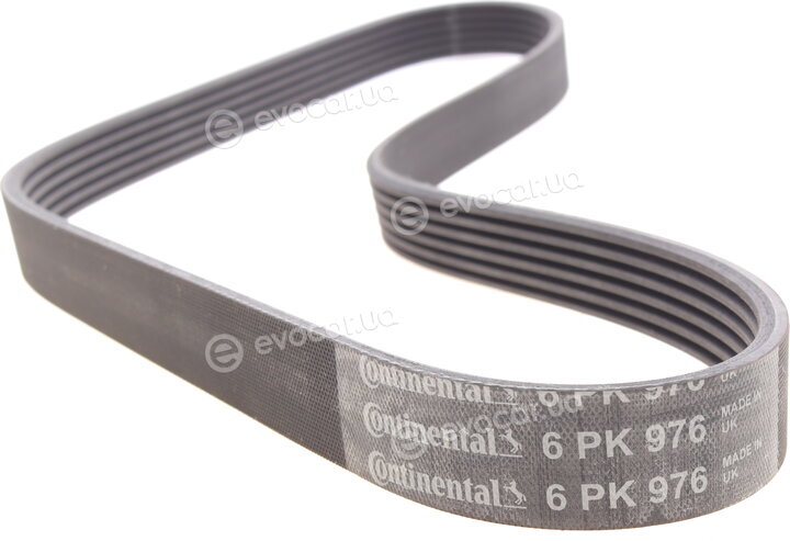 Continental 6PK976K1