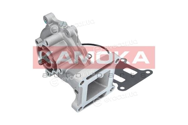 Kamoka T0141