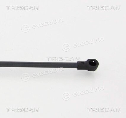 Triscan 8710 17219