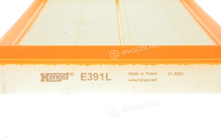 Hengst E391L