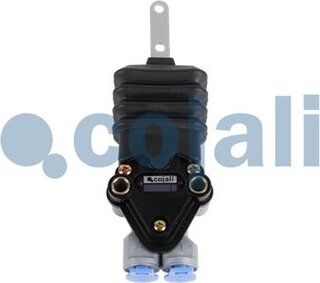 Cojali 2214508