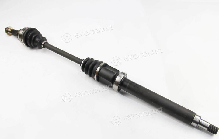 BGA DS2304R
