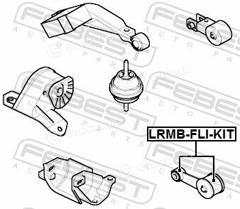 Febest LRMB-FLI-KIT