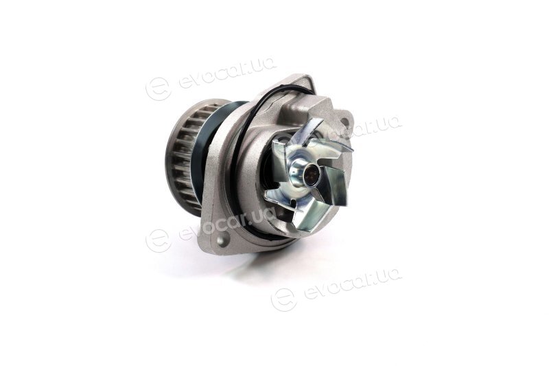SKF VKPC 81407
