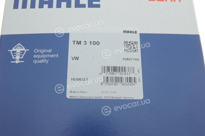 Mahle TM 3 100