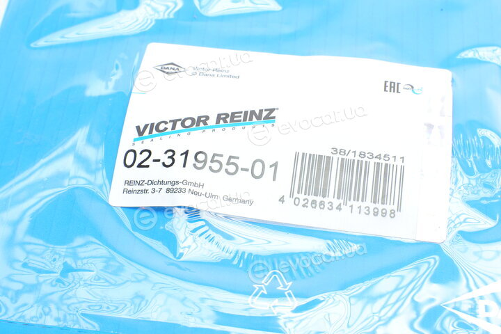 Victor Reinz 02-31955-01