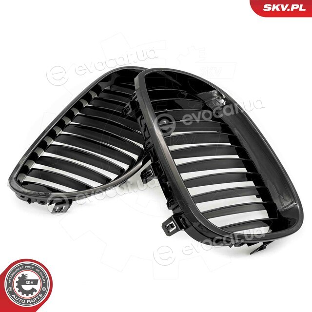 SKV 66SKV165