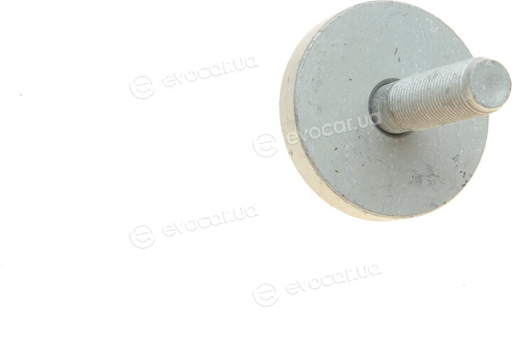 Dayco KTBWP5171