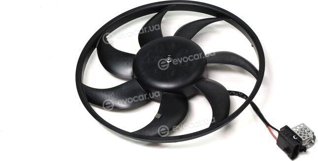 AVA OL7670