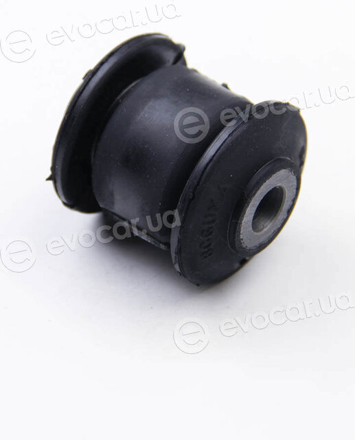 BC Guma 0220