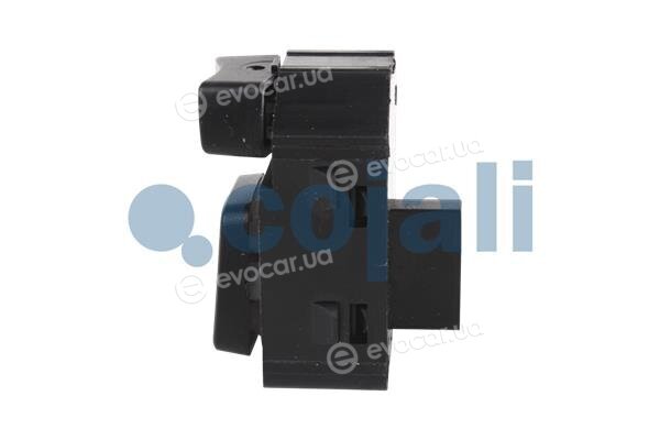 Cojali 2260481