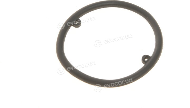 Elring 634.380