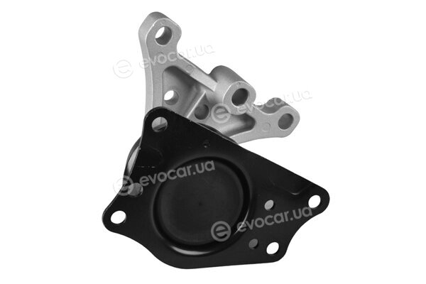 Tedgum TED91640