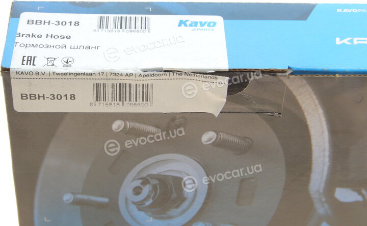 Kavo BBH-3018