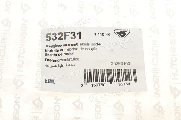 Hutchinson 532F31