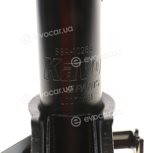 Kavo SSA-10283