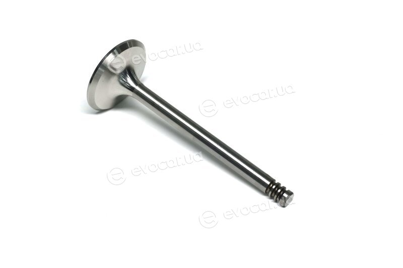 Gunes 6010
