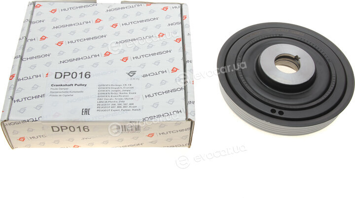Hutchinson DP016