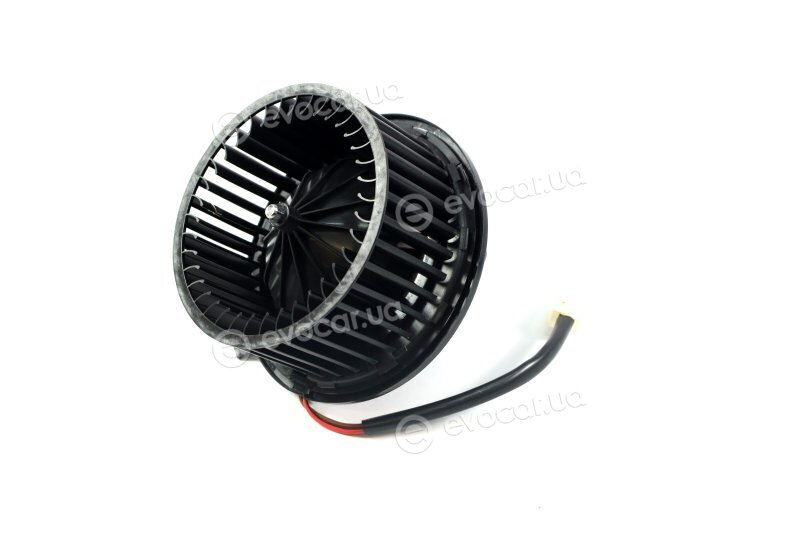Van Wezel 0322773