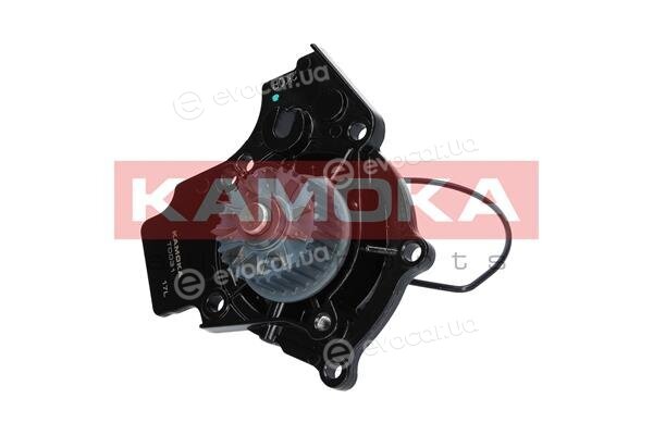 Kamoka T0031