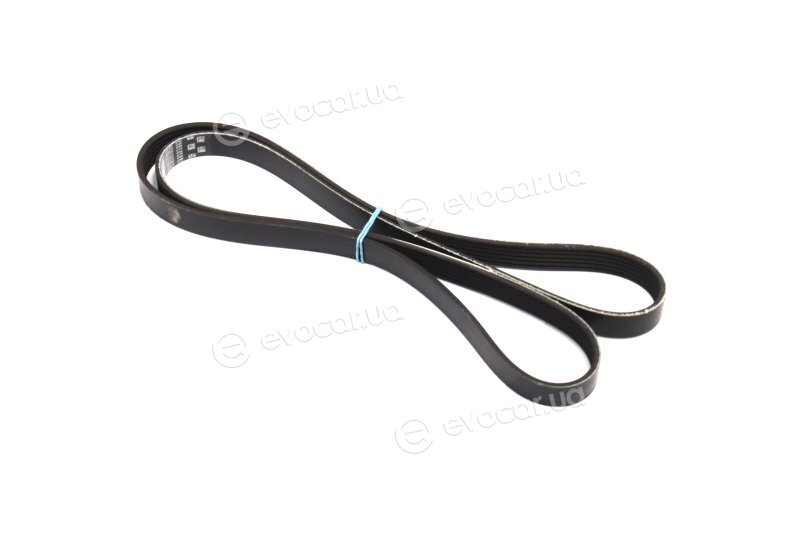 Gates 6PK1600XS