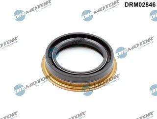 Dr. Motor DRM02846