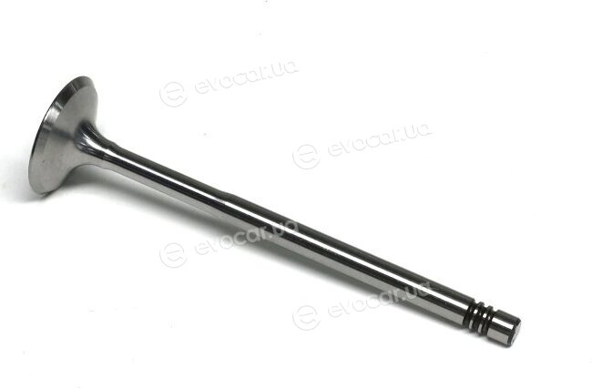 Gunes 6008