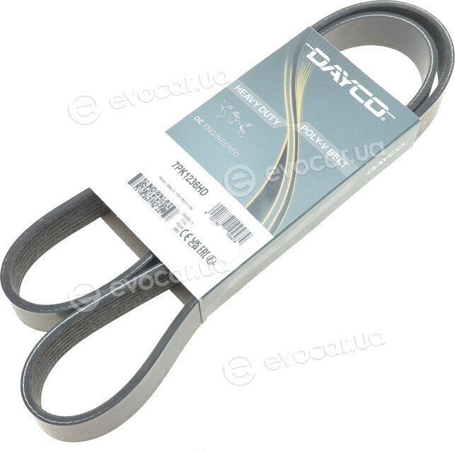 Dayco 7PK1236HD