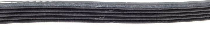 Dayco 5PK875