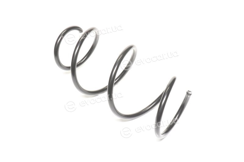 Lesjofors 4017010