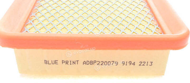 Blue Print ADBP220079