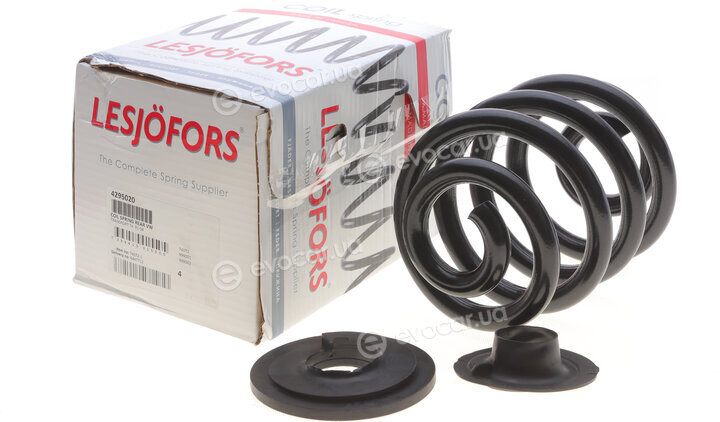 Lesjofors 4295020
